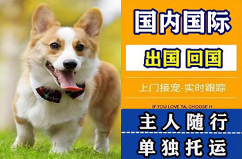秦皇岛市宠物托运公司秦皇岛市宠物托运公司秦皇岛市宠物托运公司